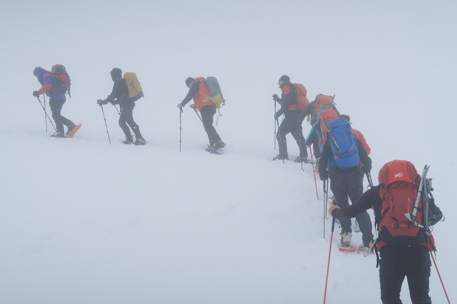 eventi/533-Ciaspolata-2026-02-01/fotopresentazione/images/3 AggEAI-Lazio-09.jpg